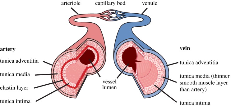 Figure 3.