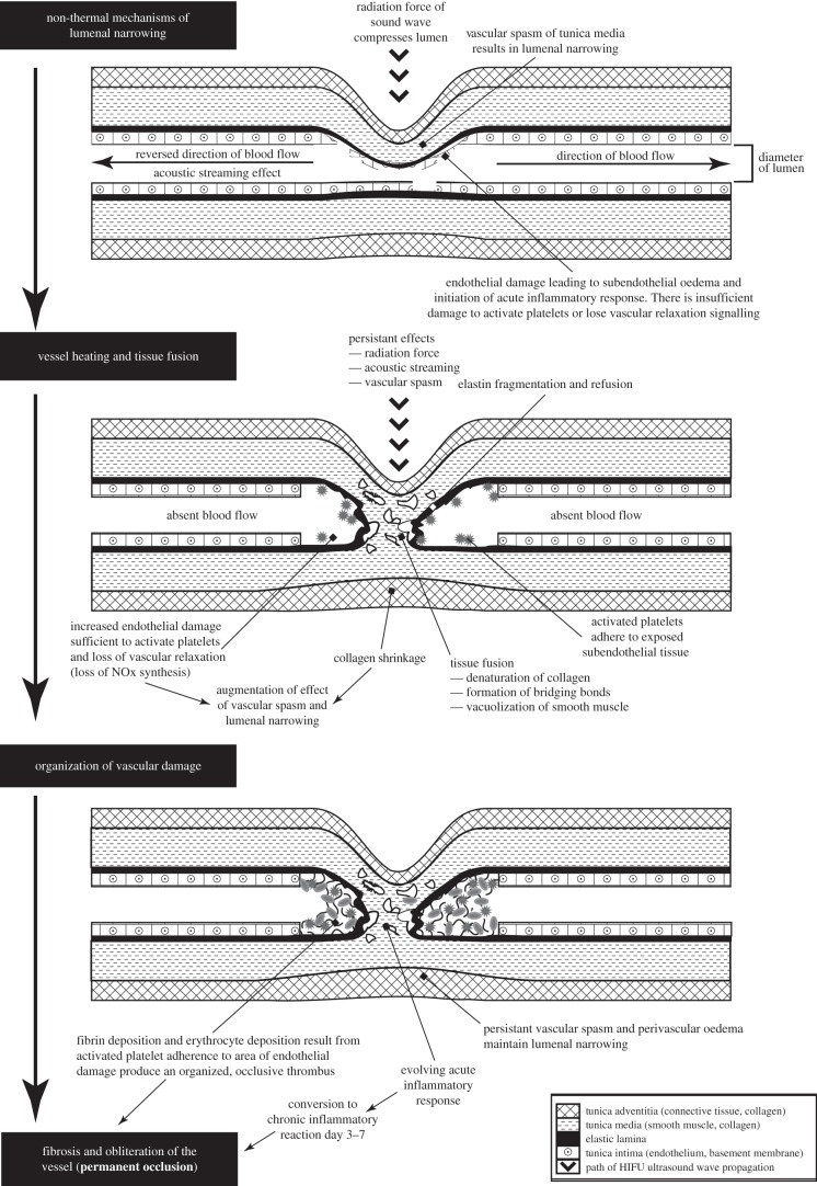 Figure 4.