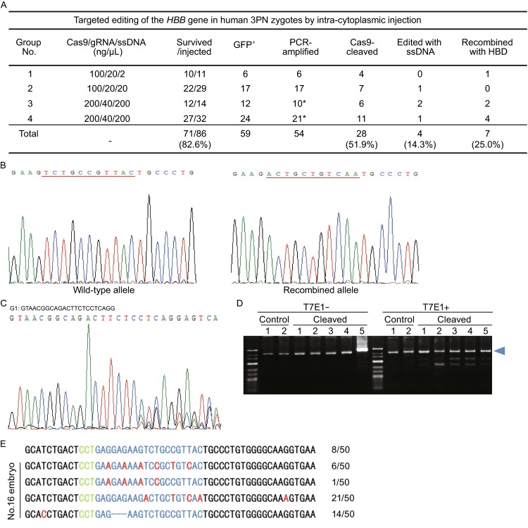 Figure 2