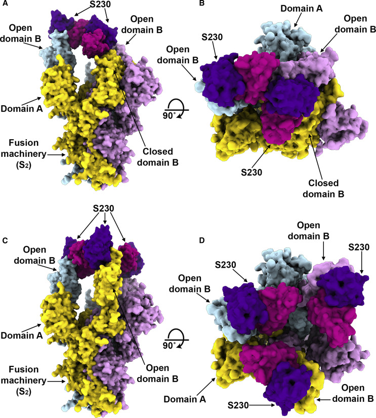 Figure 4