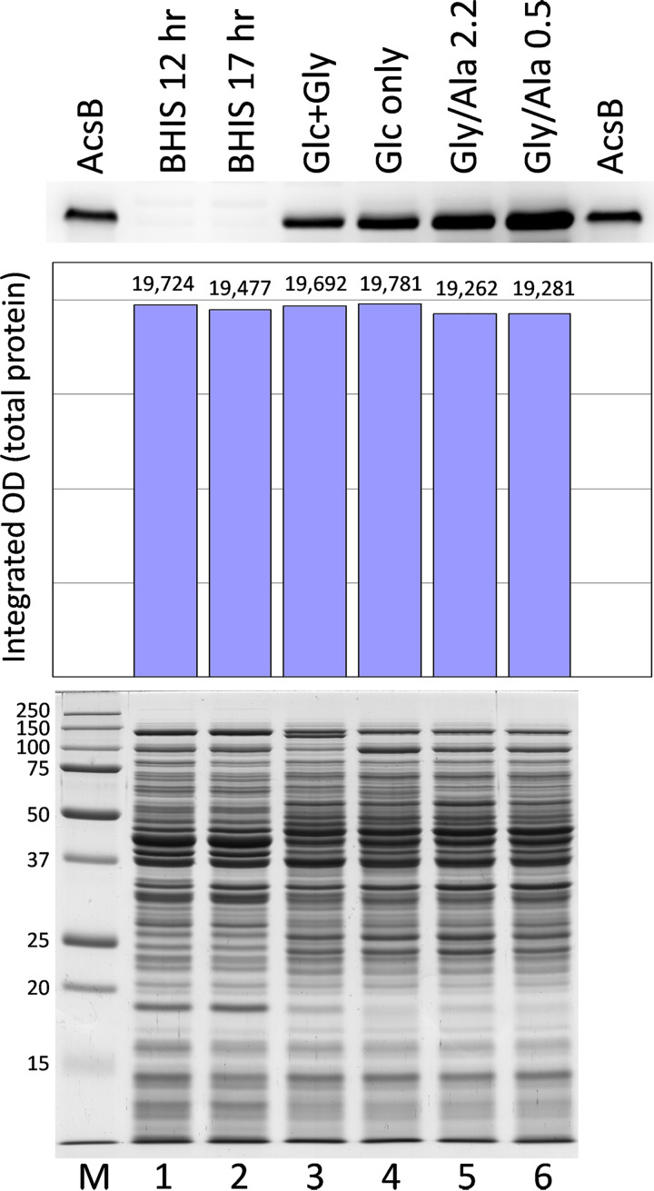 FIG 6