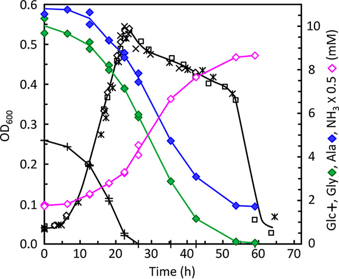 FIG 4