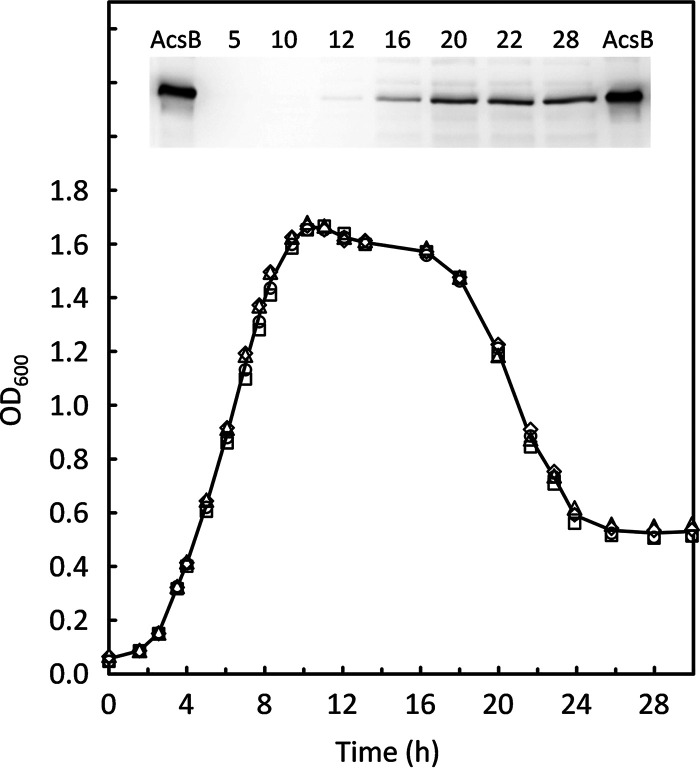 FIG 2