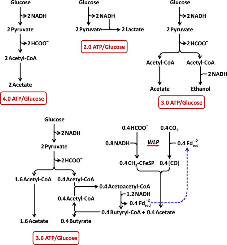 FIG 11