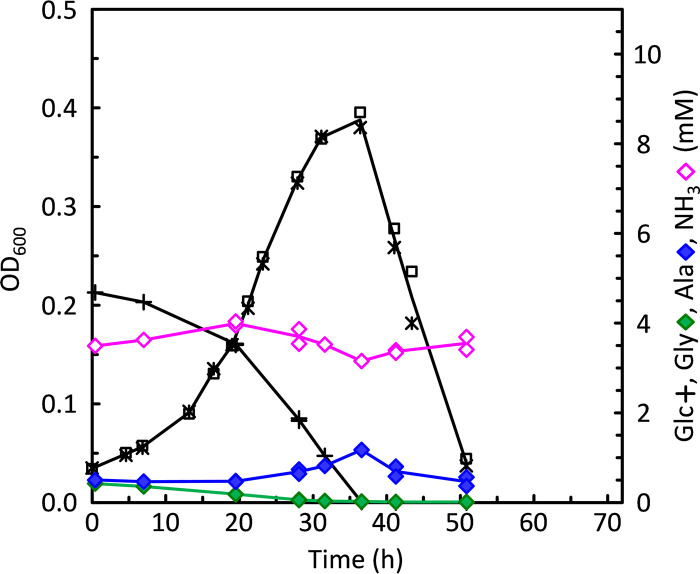 FIG 5