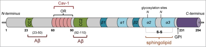 Figure 1.