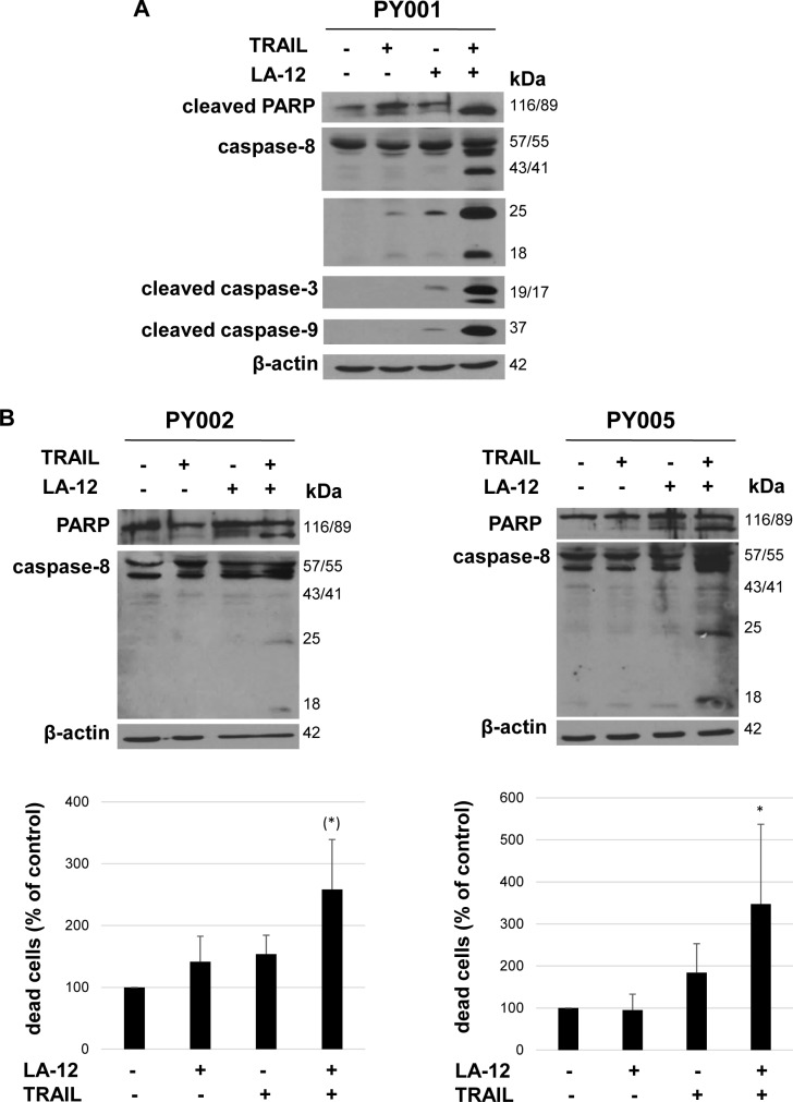 Fig 7