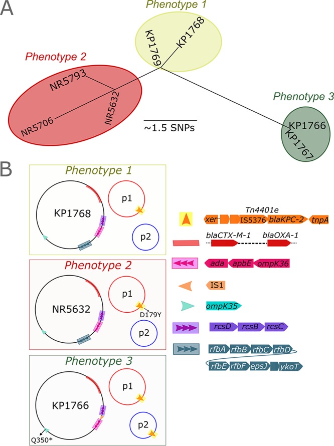 FIG 1