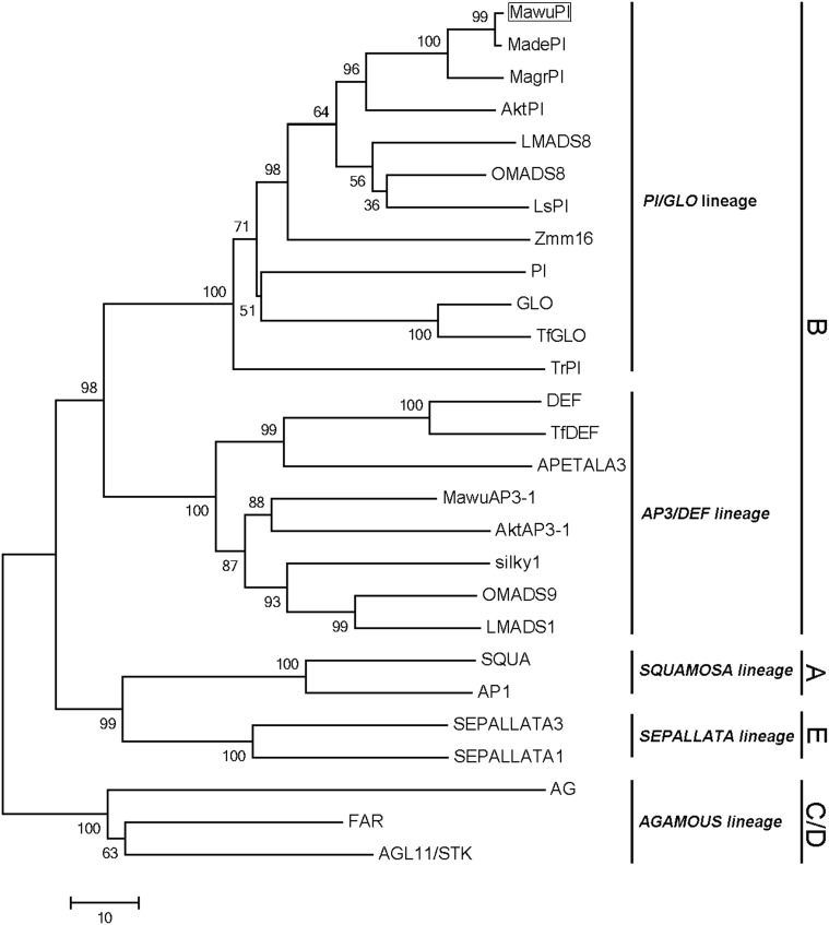 FIGURE 2