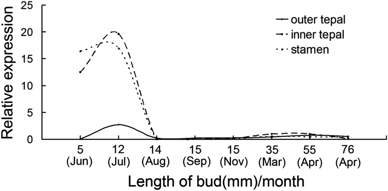 FIGURE 4