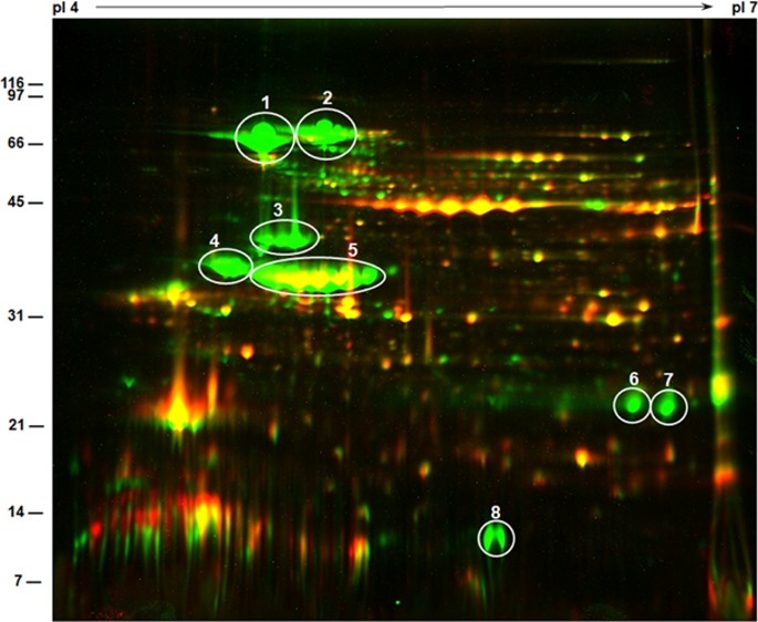 graphic file with name ao0c00128_0006.jpg