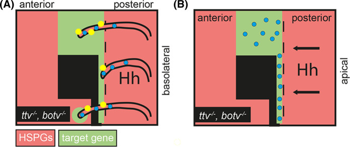 Figure 3.