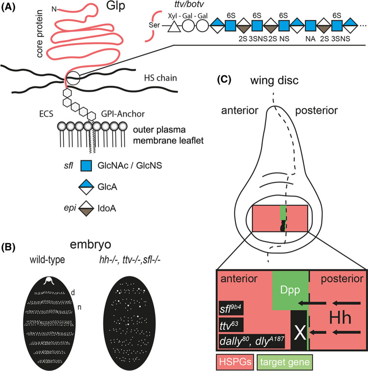 Figure 1.