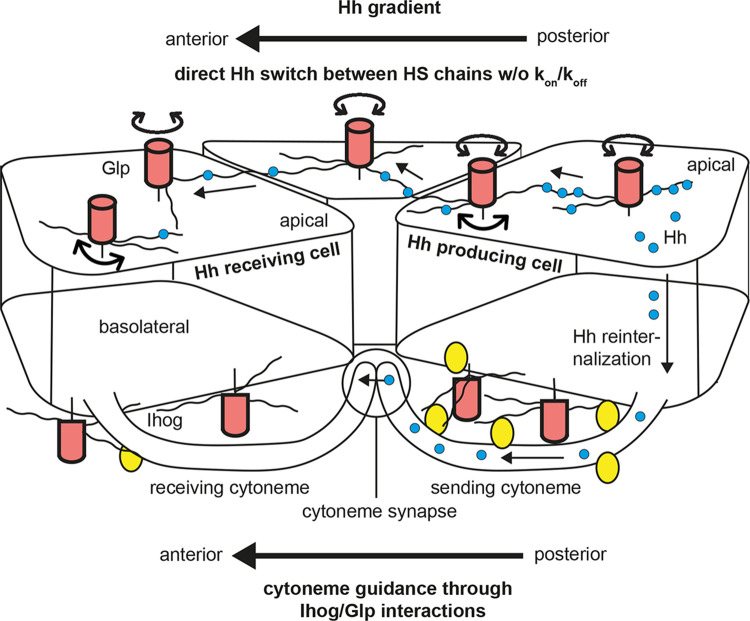 Figure 2.