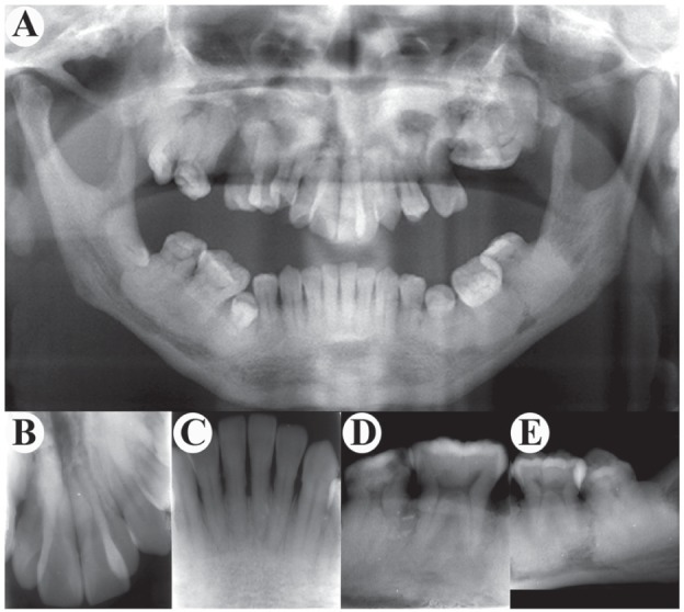 Figure 3.