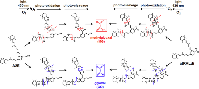 Fig. 6