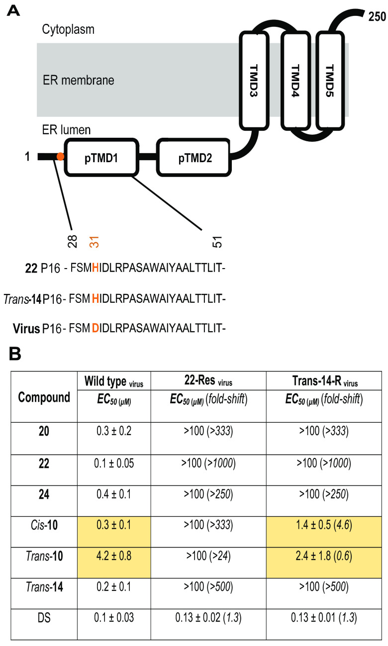 FIG 5