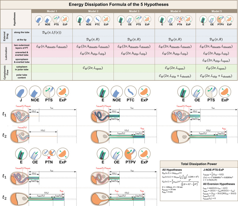 Figure 3: