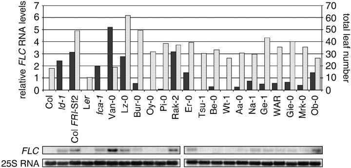 Figure 3.—