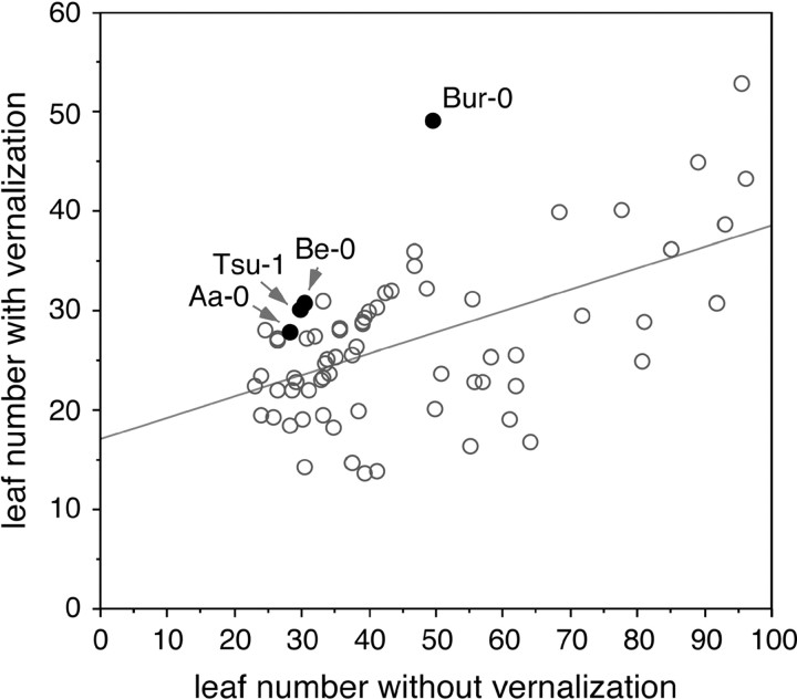 Figure 5.—