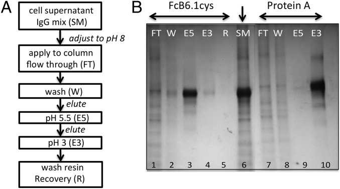Fig. 4.