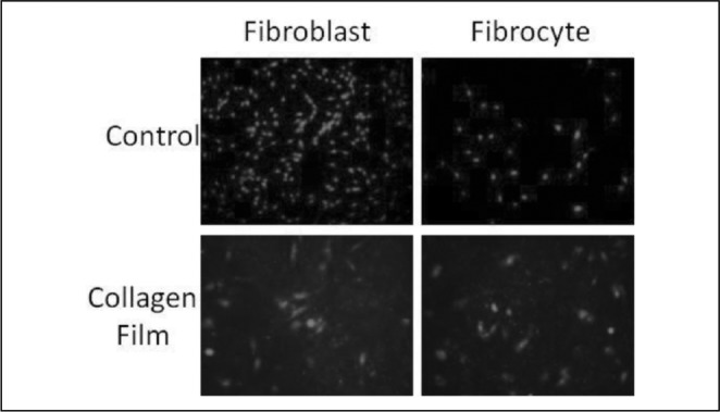 Fig. 2A