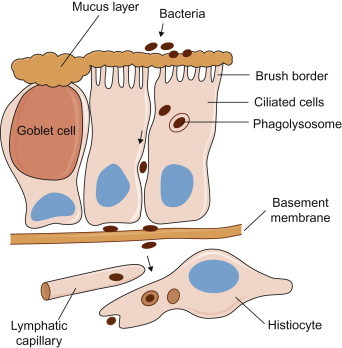 Figure 3.1