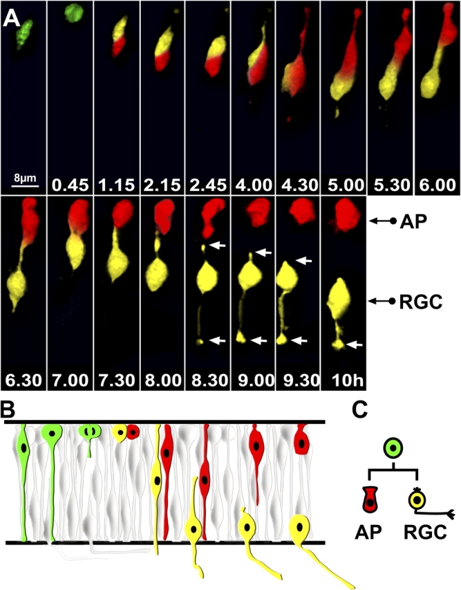 Figure 3.