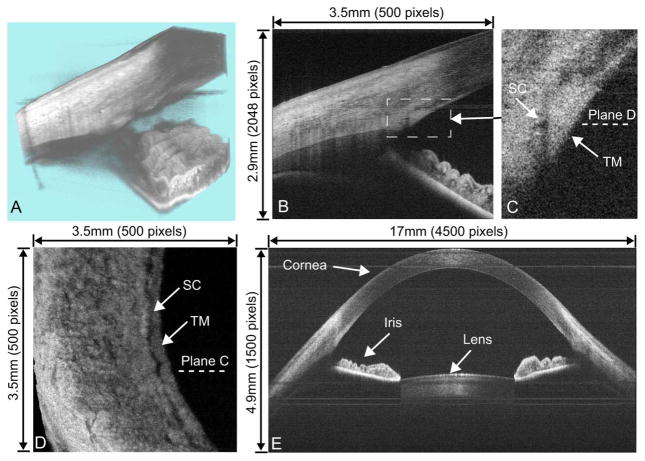 Fig. 10