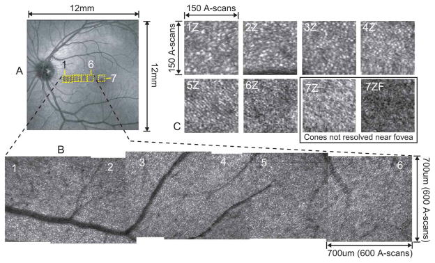 Fig. 9