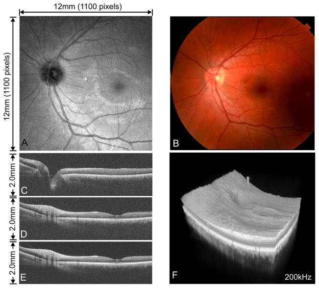 Fig. 8