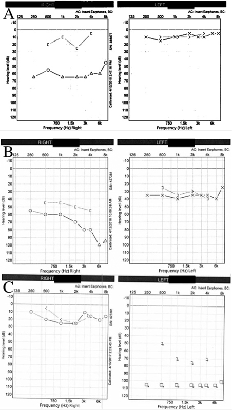 Fig. 5