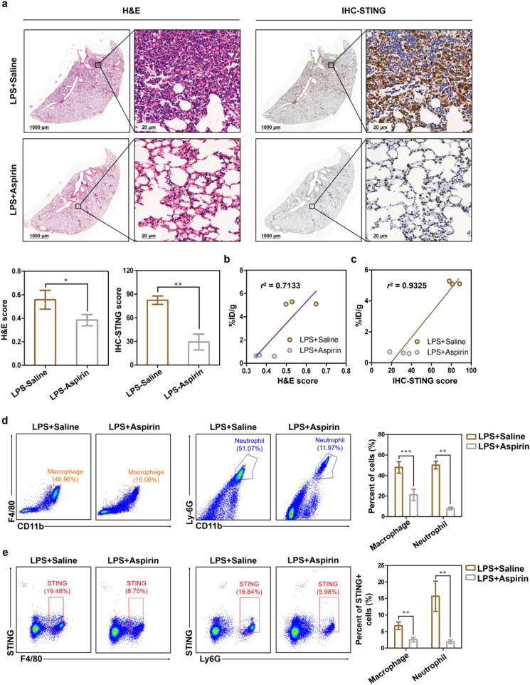 Figure 6