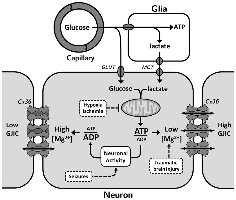 Figure 11