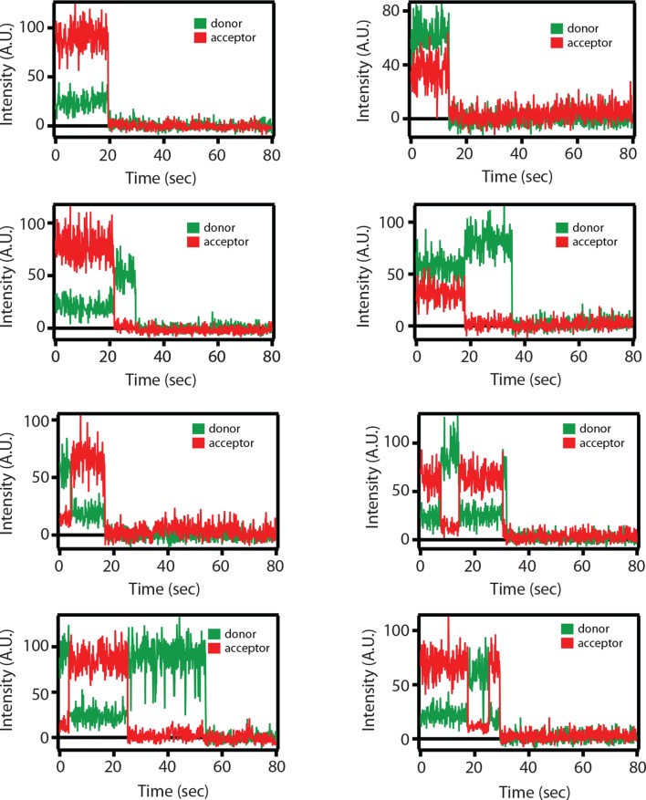 Figure 4—figure supplement 1.