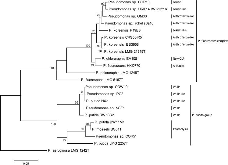 Figure 7