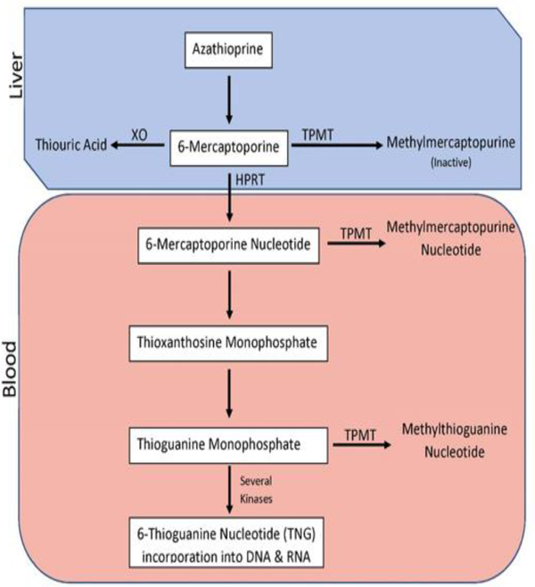 Figure 2: