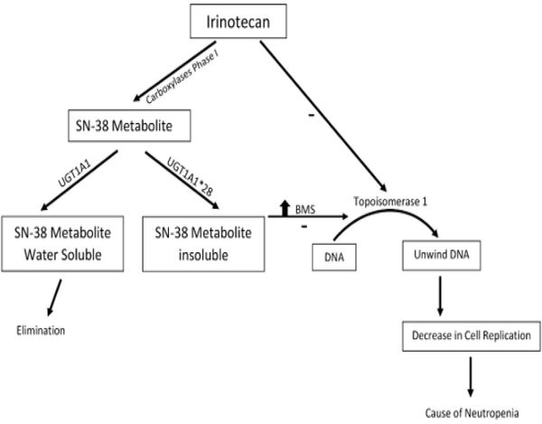 Figure 3: