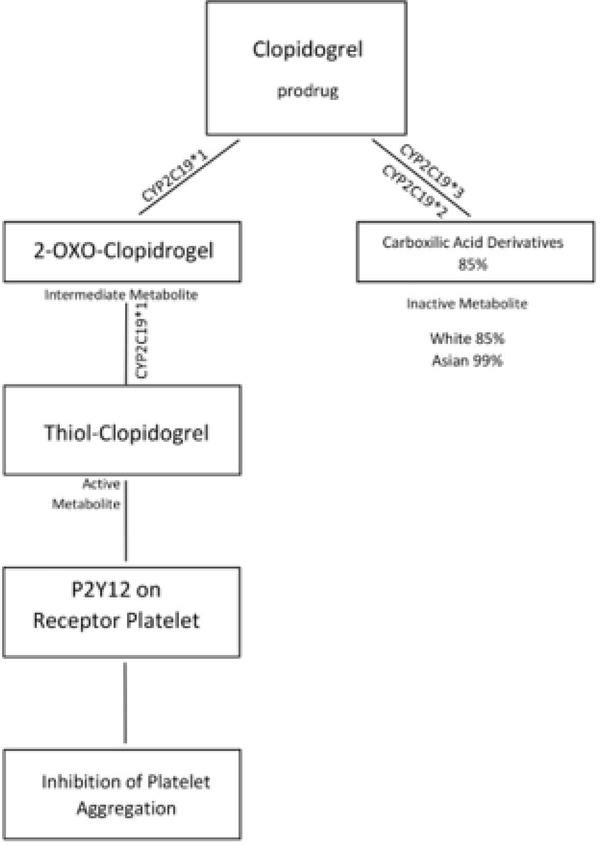 Figure 4: