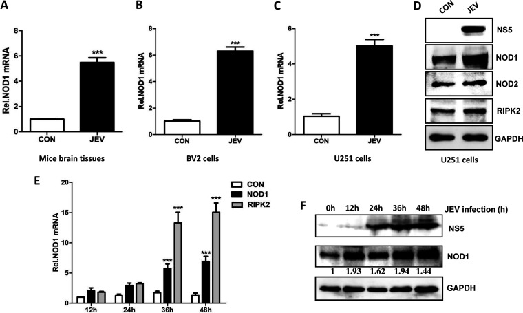 FIG 1