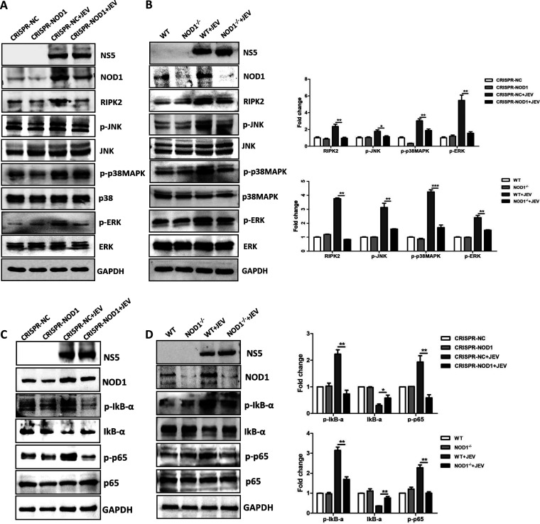 FIG 6