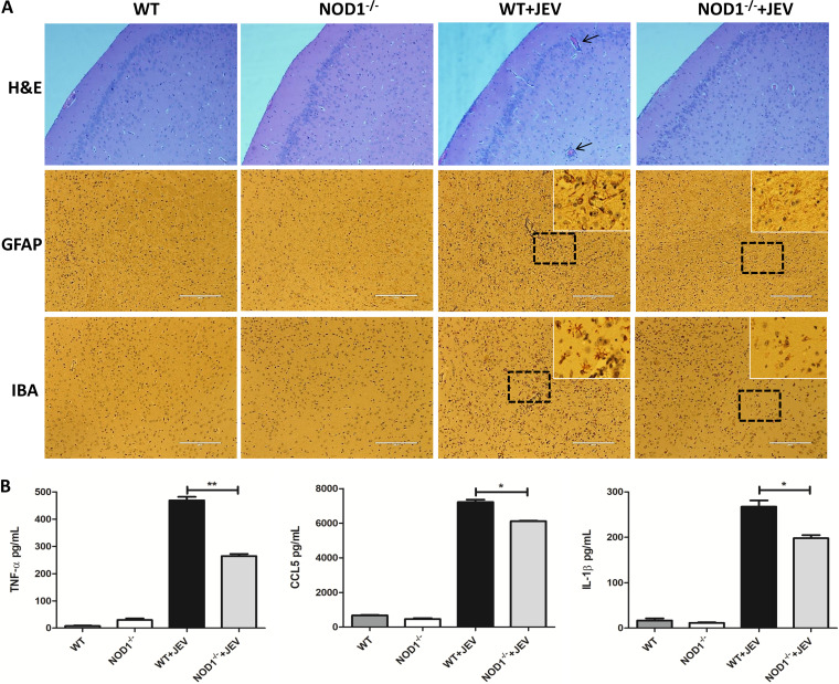 FIG 3