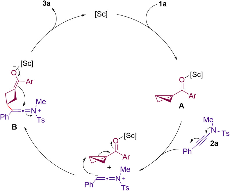 Scheme 5