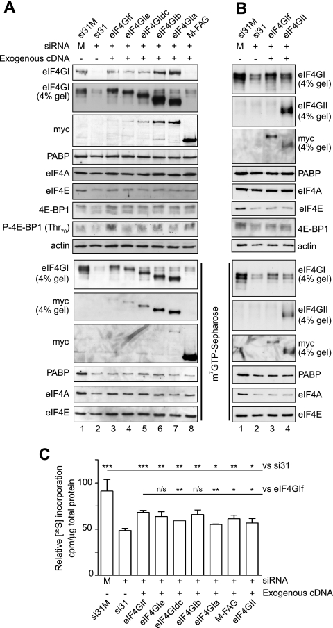 FIG. 6.