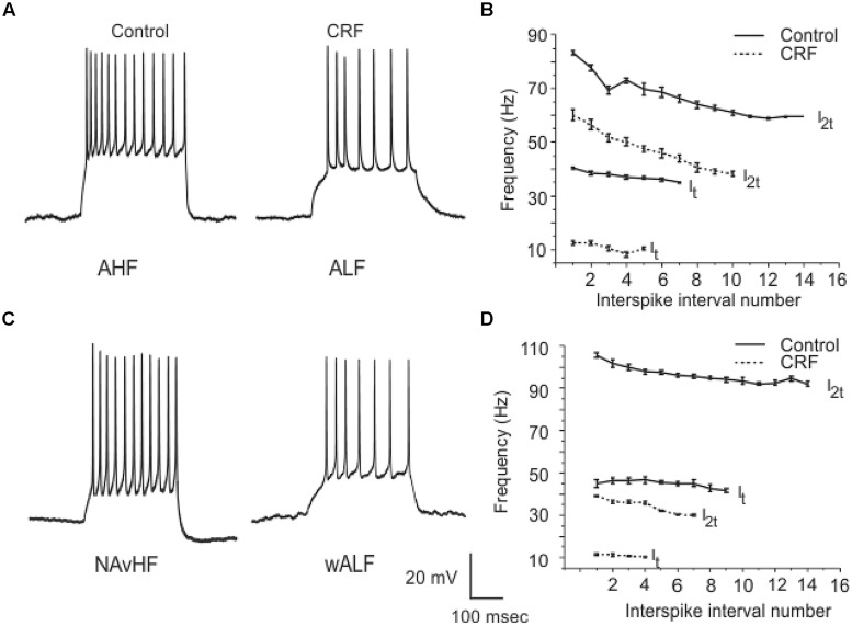 FIGURE 12