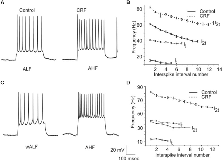 FIGURE 11