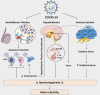 Fig.1