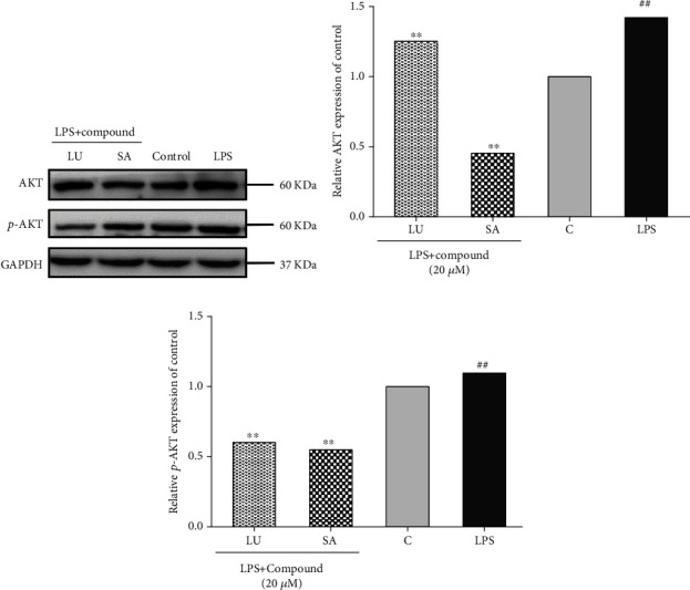 Figure 15