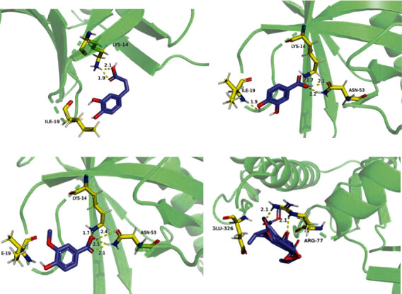 Figure 12