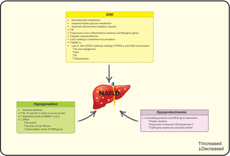 Figure 4